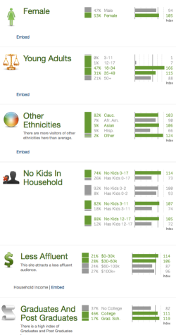 Twitter demographics