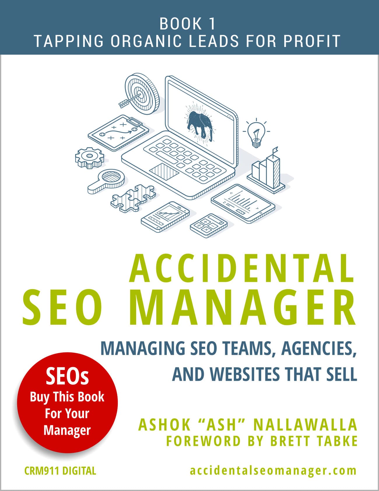 Accidental SEO Manager